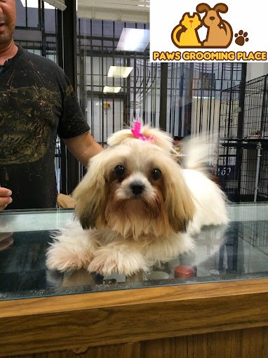 Pet Epoque Grooming Peluquería Canina en Miami