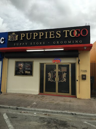 Puppies To Go, Tiendas de Mascotas en Miami