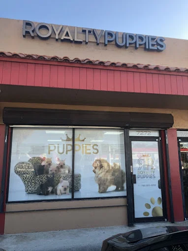 Royalty Puppies, Tienda de Mascotas en Miami