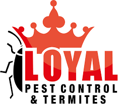 Loyal - best pest control near me